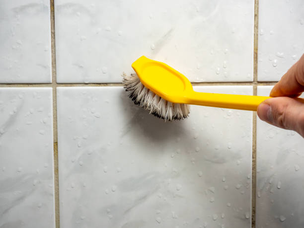 Professional Mold Remediation in Perryville, MD